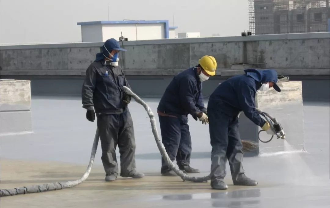 640.webp (4) 640.webp (4)